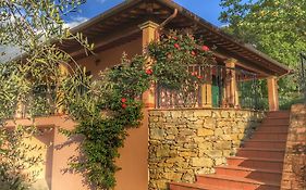 Tuscany Roses
